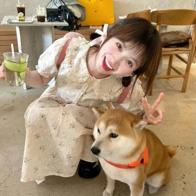 安娜和狼